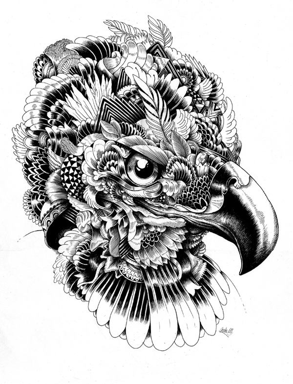 英格兰艺术家Iain Macarthur 动物黑白肖像插画欣赏
