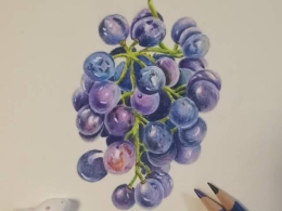 彩铅葡萄