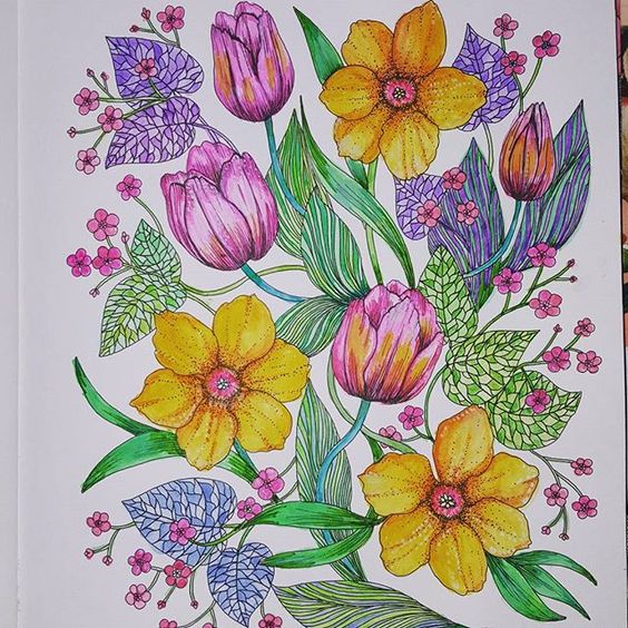 这么漂亮的一组上色动物线描画，赶紧收了吧！