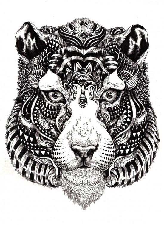 英格兰艺术家Iain Macarthur 动物黑白肖像插画欣赏