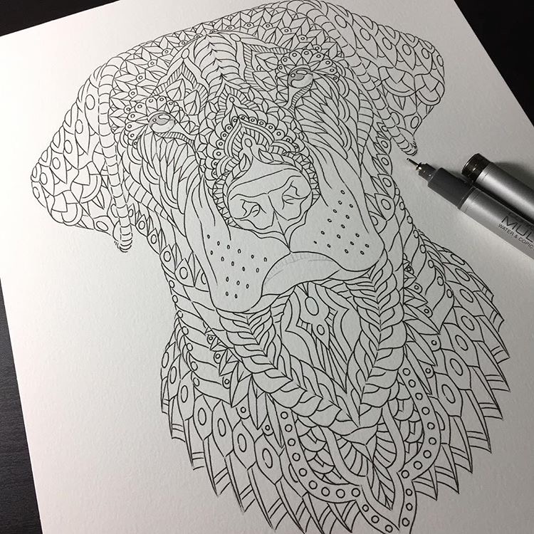 Ben Kwok细腻的插画作品欣赏