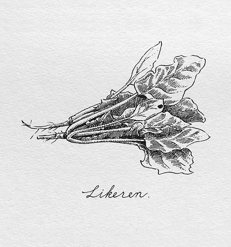 IMG_20260413_153336x