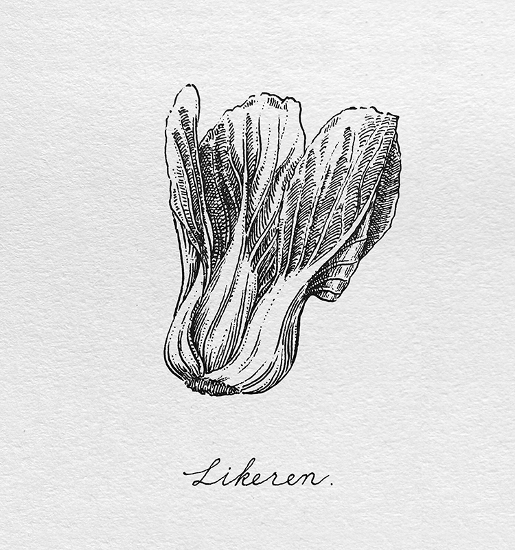 IMG_20260413_153342x