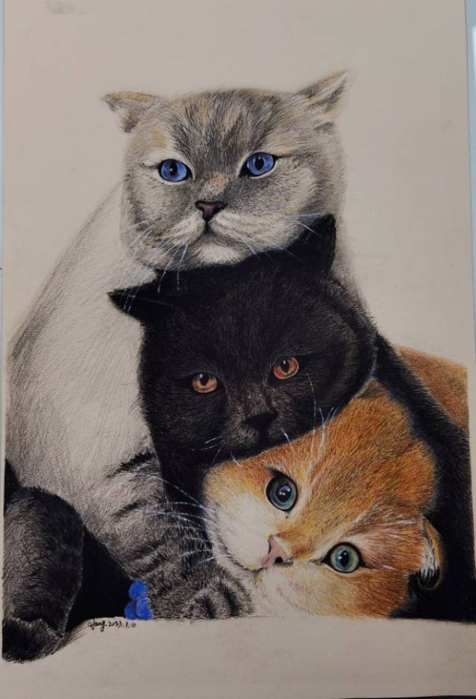 彩铅猫咪_线描画
