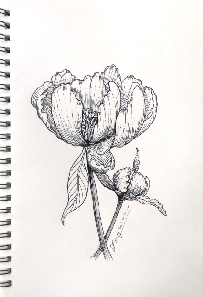 D5～_线描画