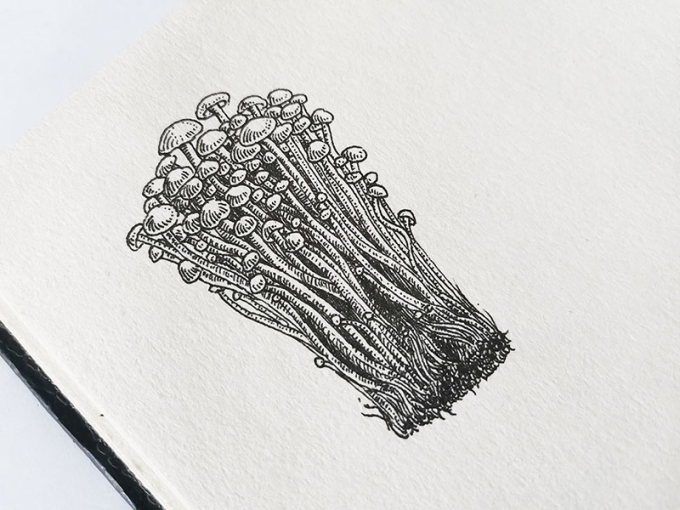 没啥菜了，今天就吃金针菇吧_线描画