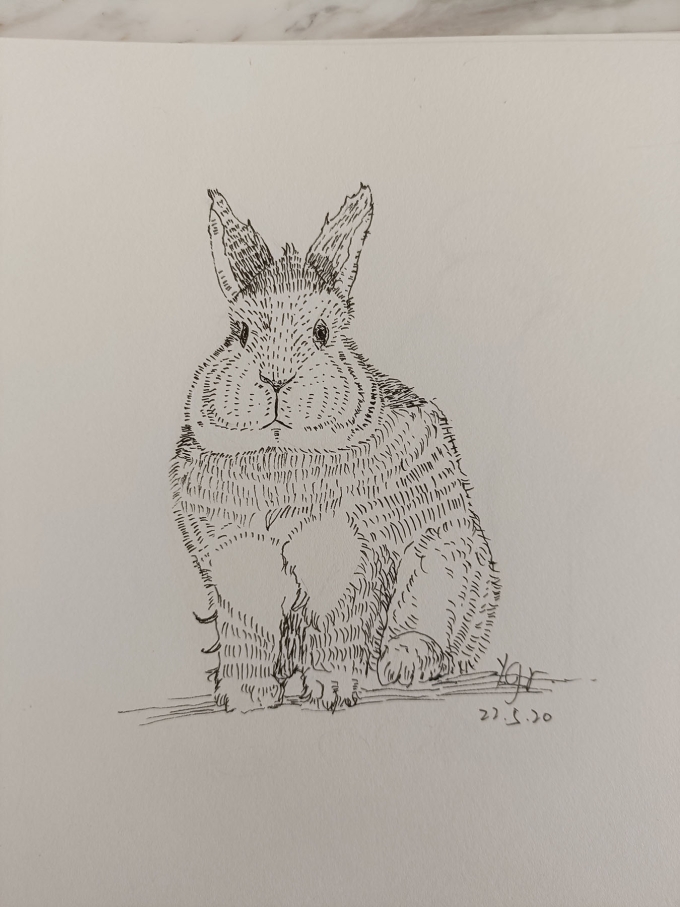 。。。。。。。_线描画