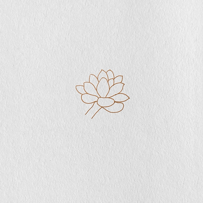 今天就画个简单的多肉吧_线描画
