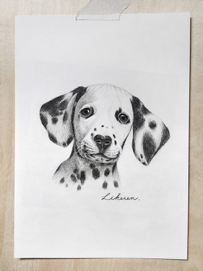 斑点狗_线描画