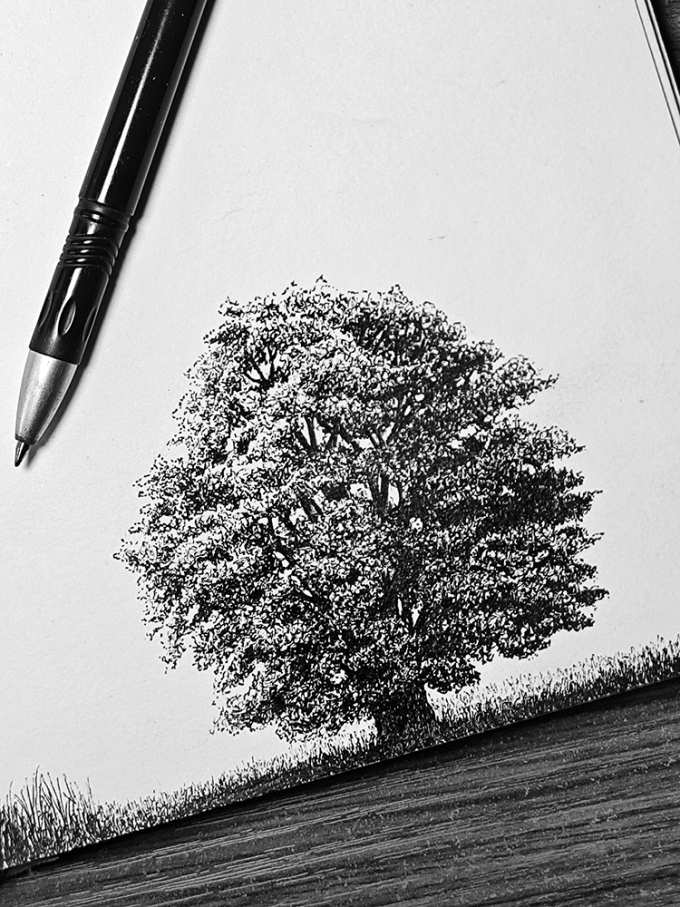 大树_线描画