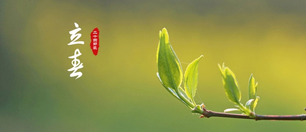 二十四节气 | 立春