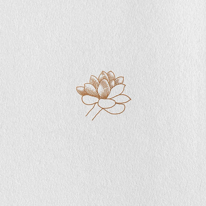 今天就画个简单的多肉吧_线描画