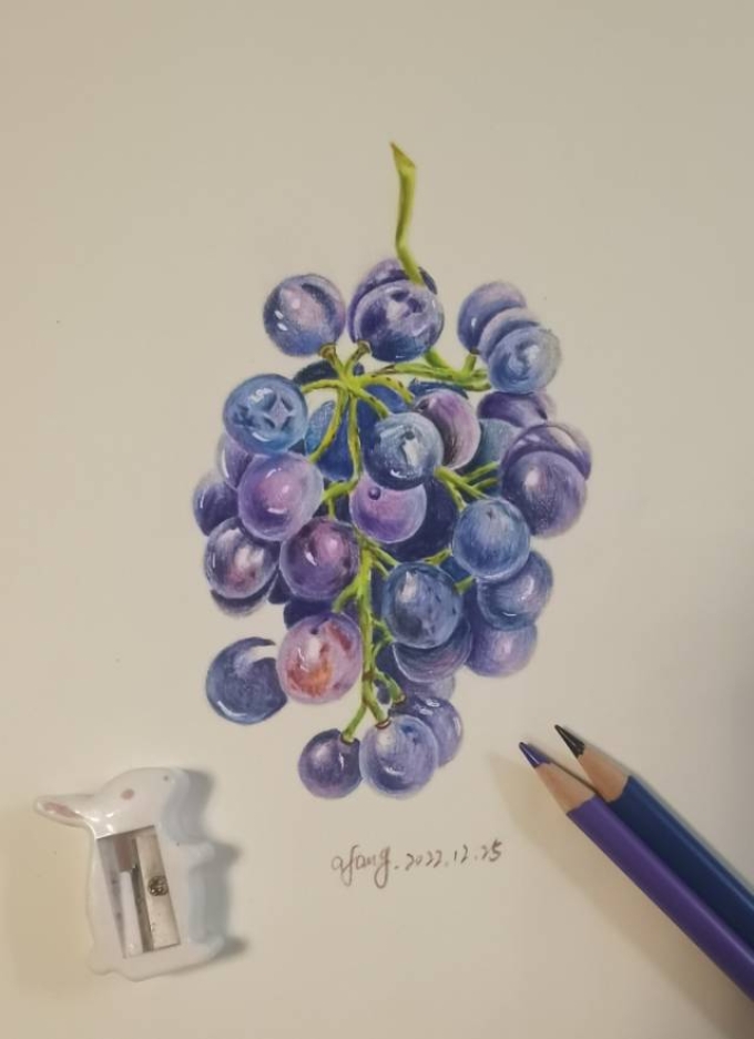 彩铅葡萄_线描画