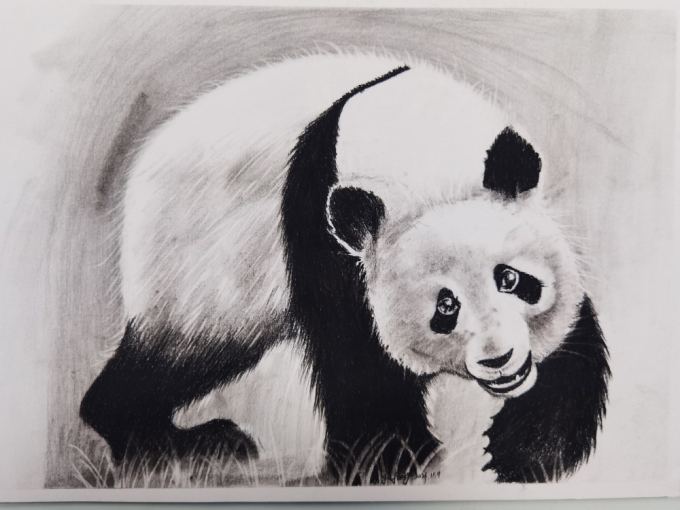 国宝_线描画