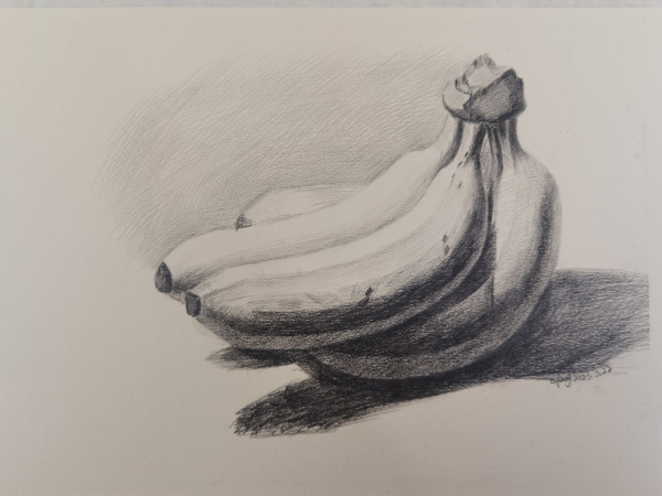 第一次画素描香蕉_线描画