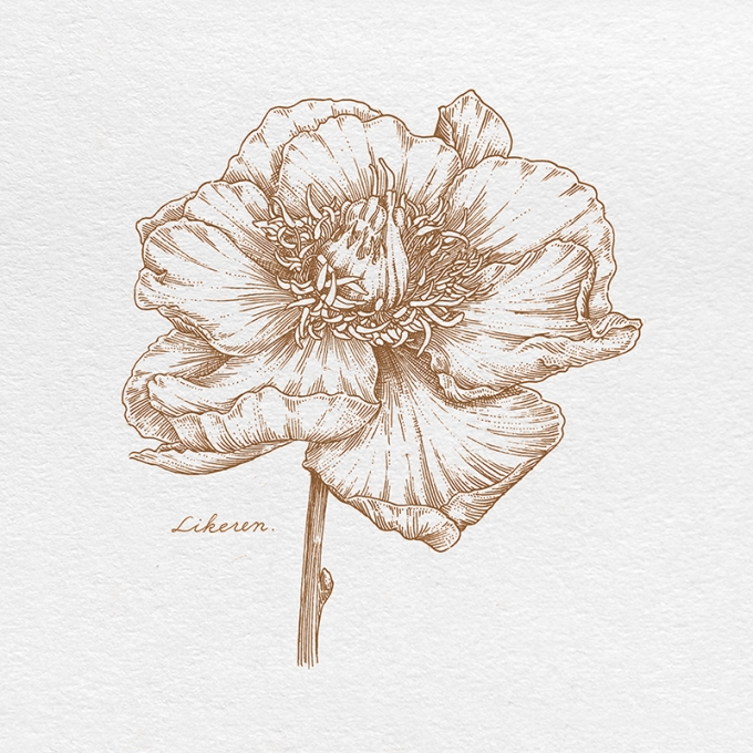 错过春天--第二弹_线描画