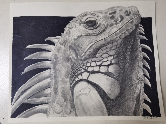 土龙_线描画