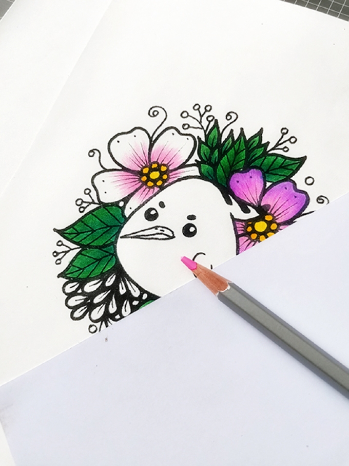 卡通戴胜鸟的彩铅上色过程_线描画