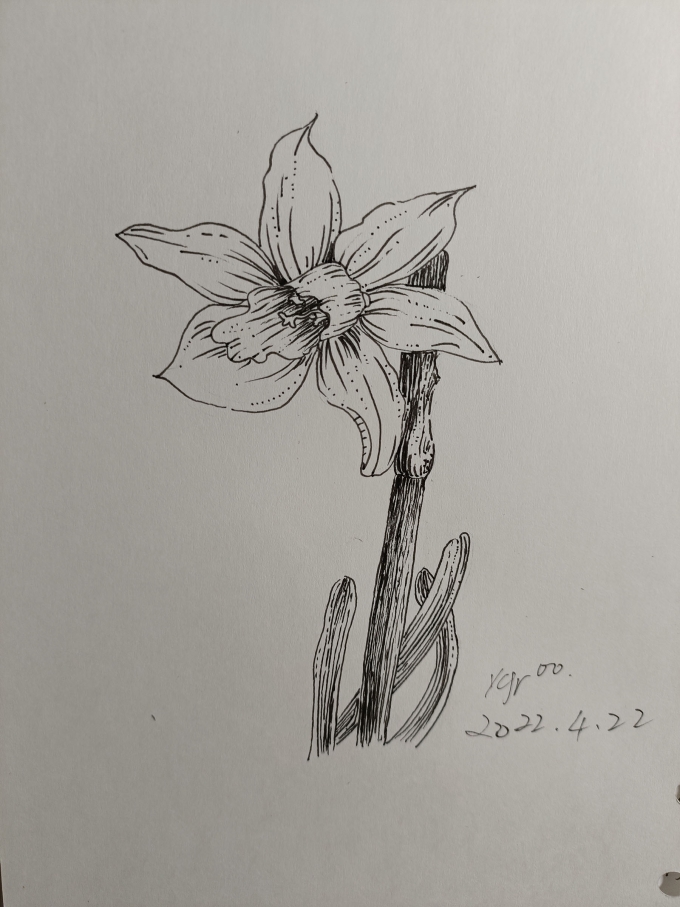 填坑系列六_线描画