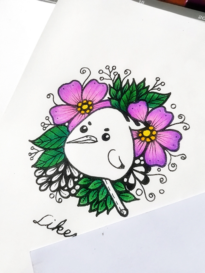 卡通戴胜鸟的彩铅上色过程_线描画