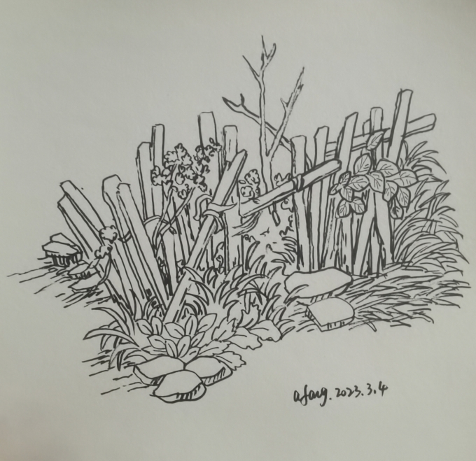 每日一画_线描画