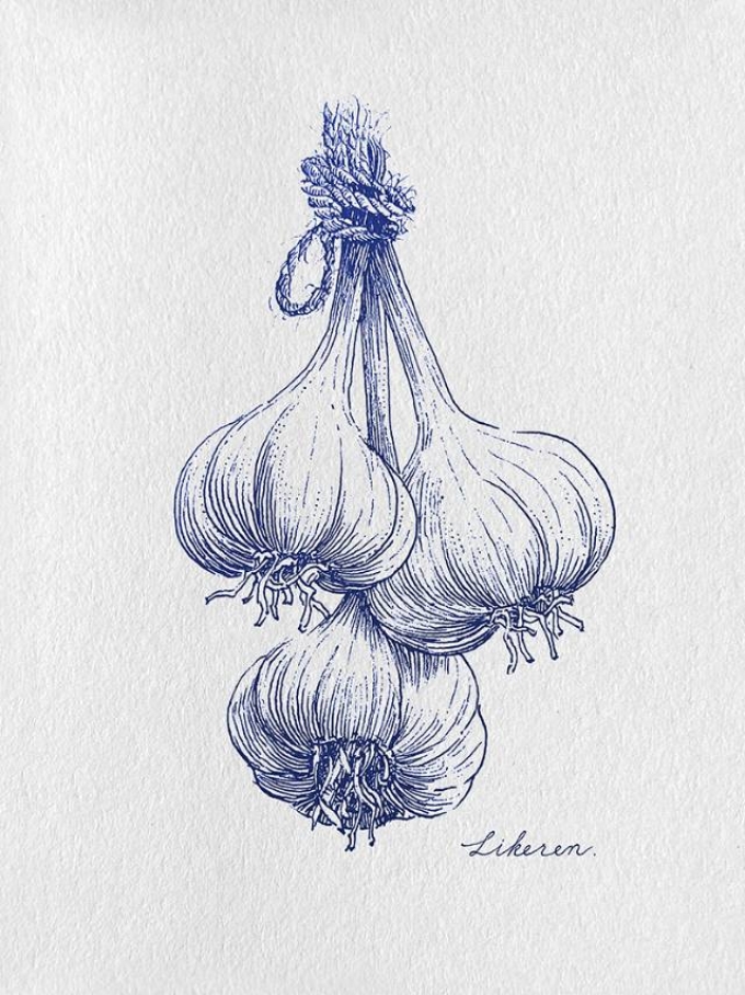 今天吃大蒜_线描画