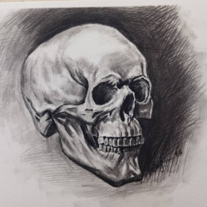 每日一画