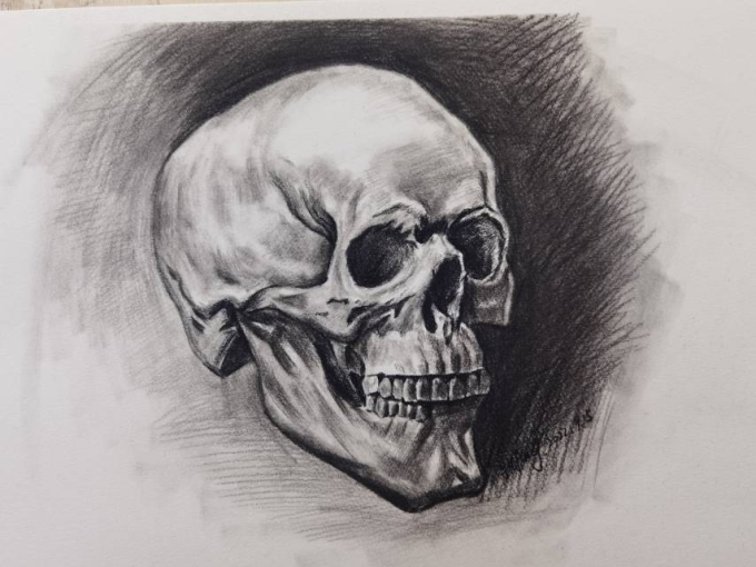 每日一画_线描画