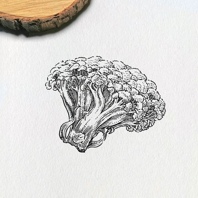 今天就吃它了_线描画