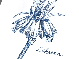 错过春天--第七弹