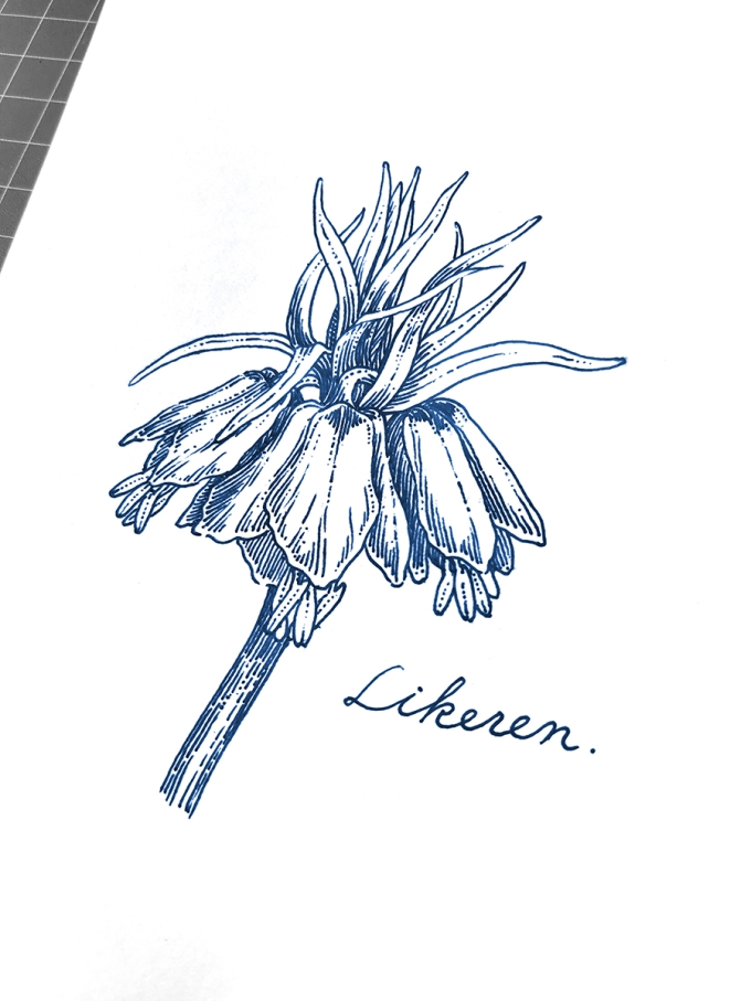 错过春天--第七弹_线描画