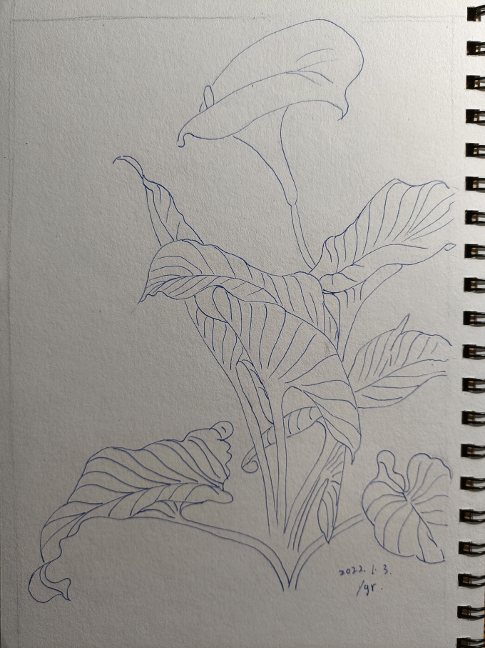 加油_线描画