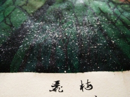 消夏