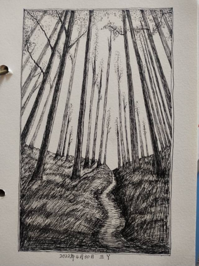 黑暗森林_线描画