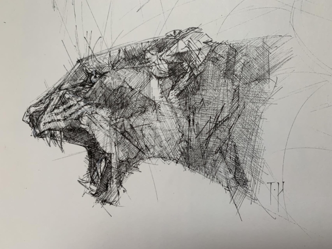 呐喊里的伤悲_线描画