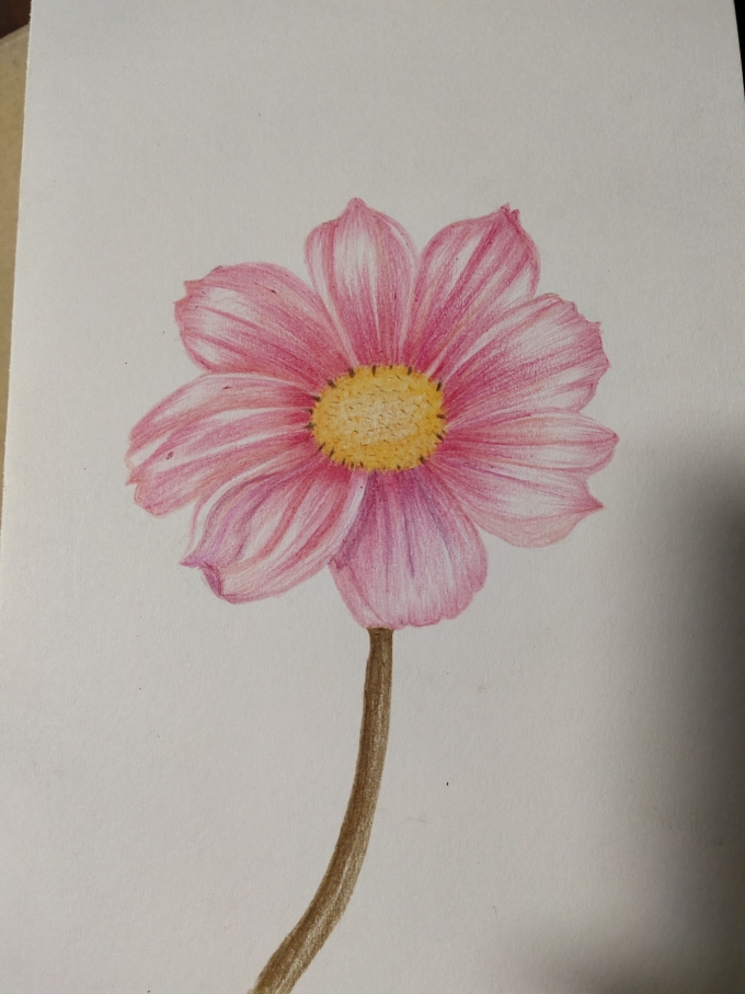 小花一朵_线描画