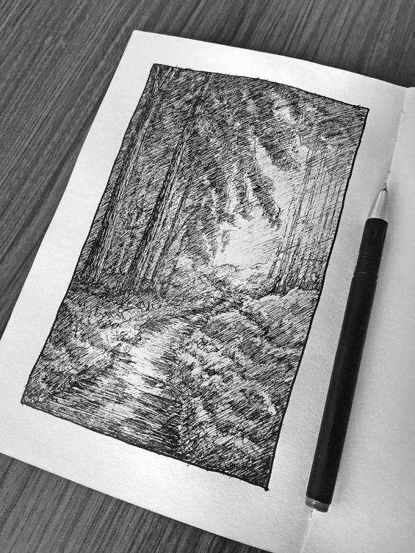 黑暗森林--乱画系列第二弹_线描画