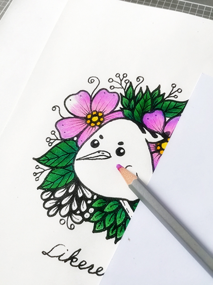 卡通戴胜鸟的彩铅上色过程_线描画