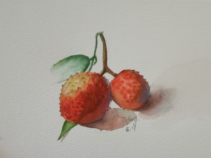 荔枝_线描画