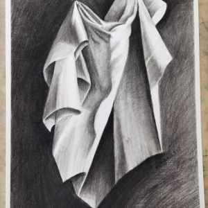 每日一画