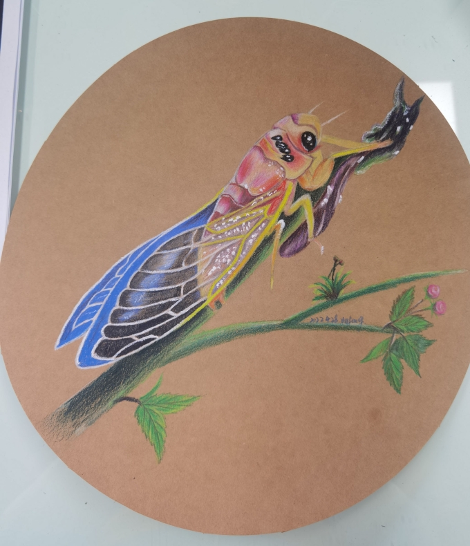 知了_线描画