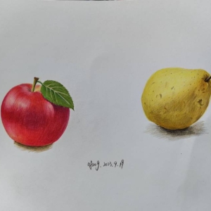 彩铅水果