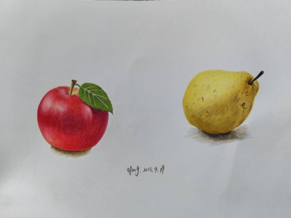 彩铅水果_线描画