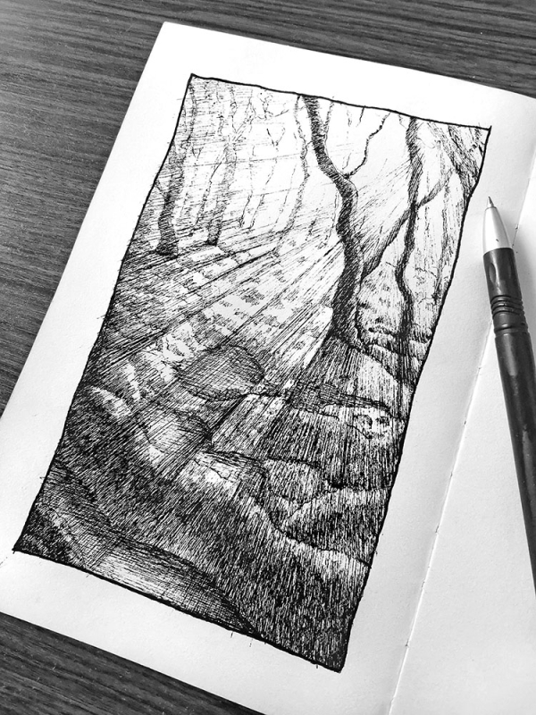 黑暗森林--乱画系列第一弹_线描画