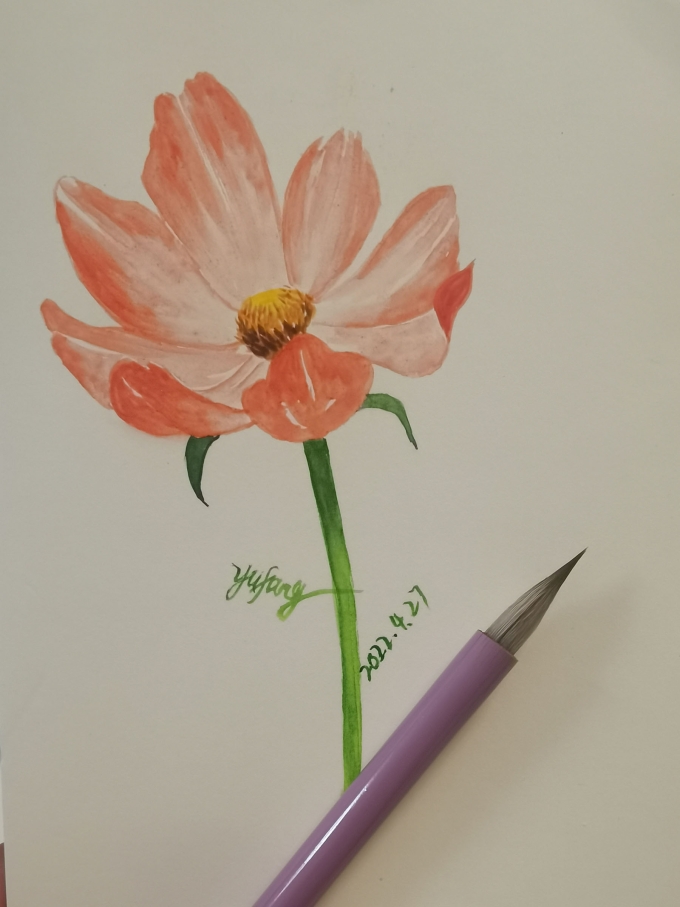 花朵小练_线描画
