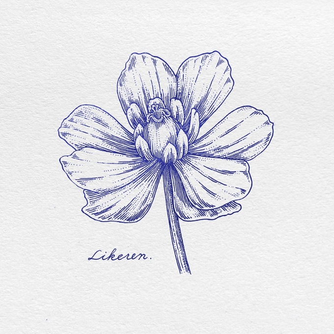 错过春天--第一弹_线描画