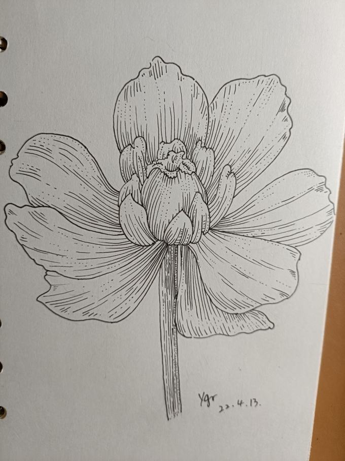 挖坑系列一_线描画