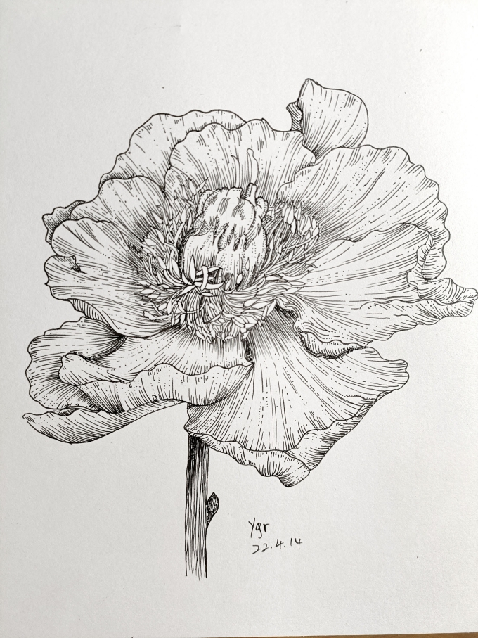 挖坑系列二_线描画