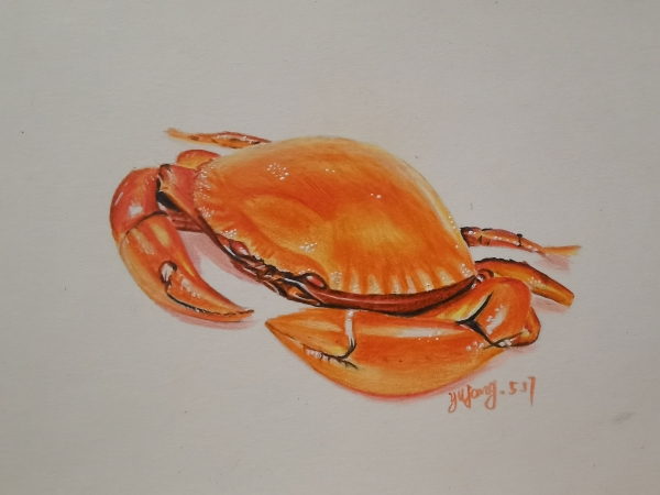 螃蟹_线描画