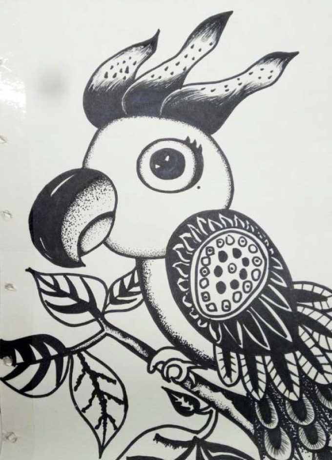 线描大眼萌的鹦鹉_线描画